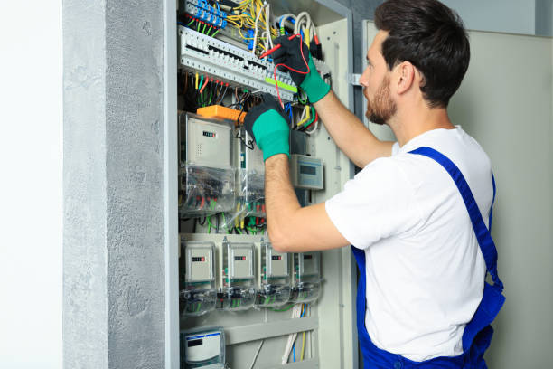 Best Home Electrical Repair  in Eureka, IL